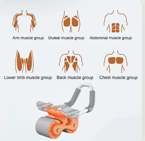 Flex Pro Ab Roller System