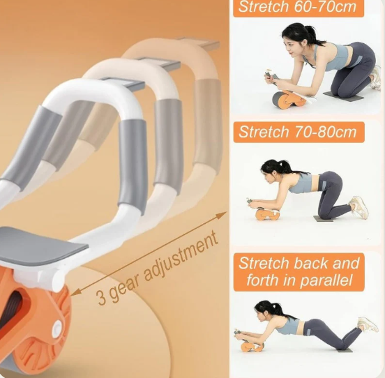 Flex Pro Ab Roller System